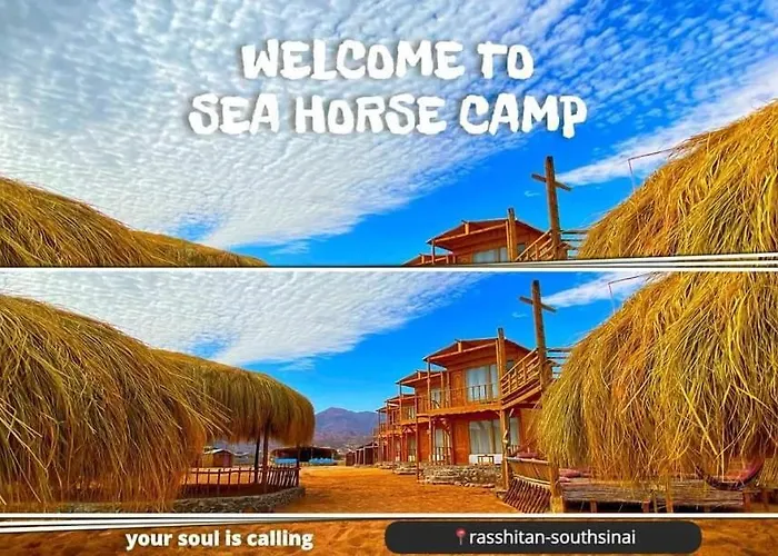 Sea Horse Кемпинг *